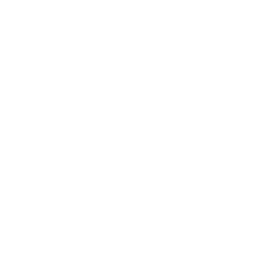100% Placement Assistance