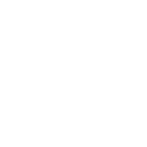 Expert Global Faculty