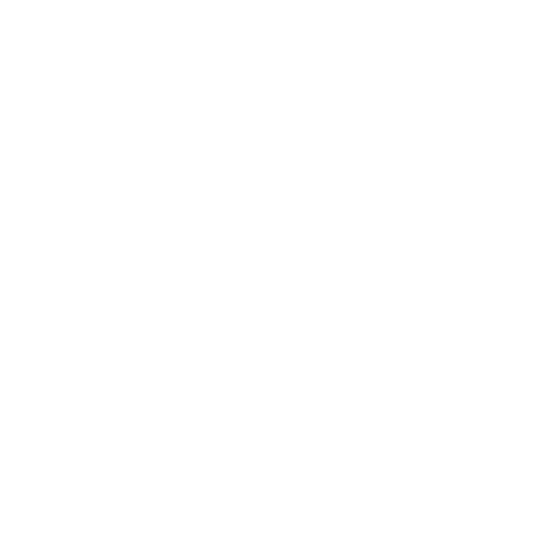 Holistic Skill Development