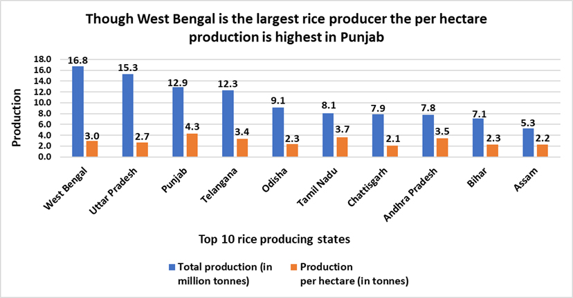 Rice, a staple food globally and in India