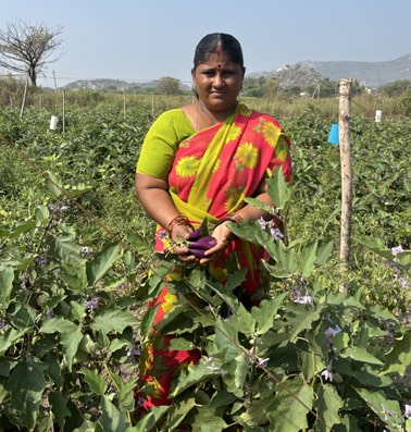 Jyothi harvests onions and radishes in her farm