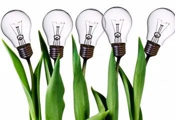 DEVELOPMENT SECTOR INSTITUTIONS 