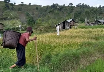  HUMAN-NATURE INTERACTIONS